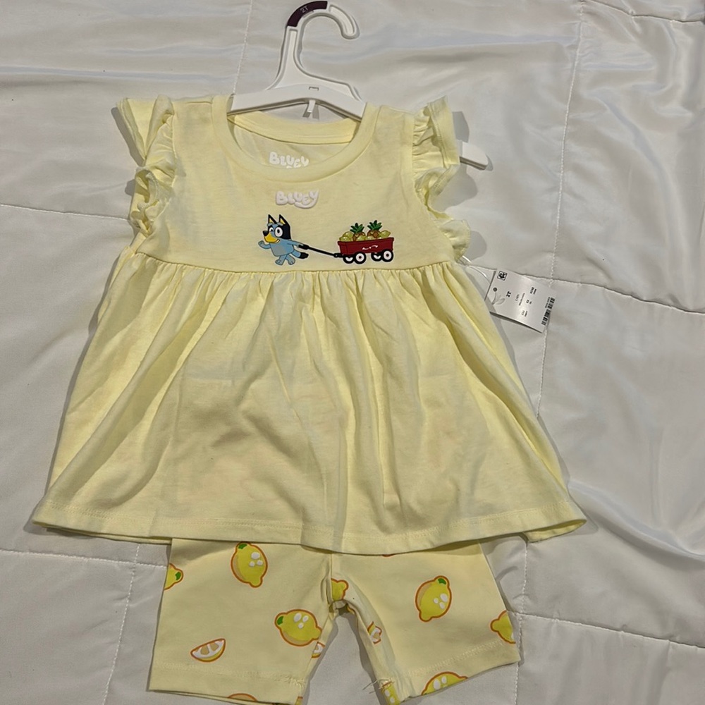 Bluey toddler too and shorts
